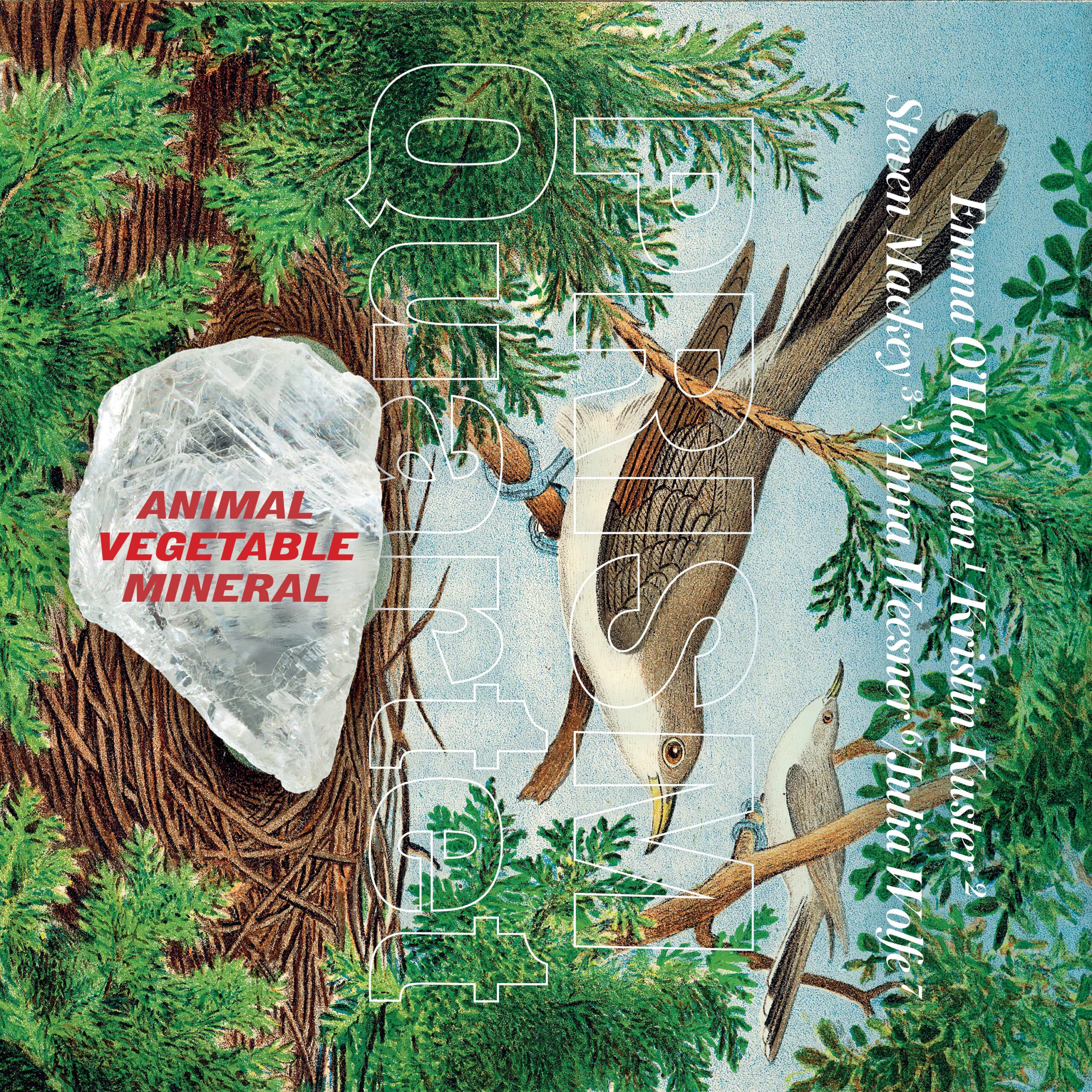 cover art for Animal Vegetable Mineral album